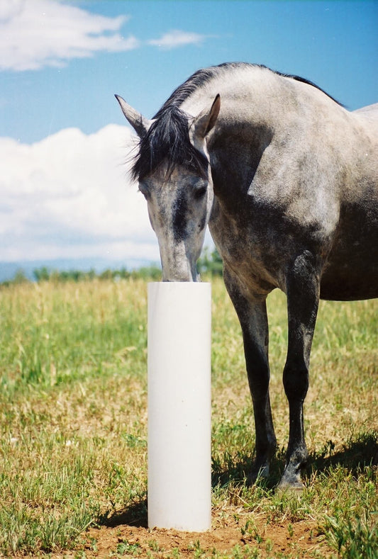 Drinking Post Waterer – Ultimate Watering Post – FREE SHIPPING